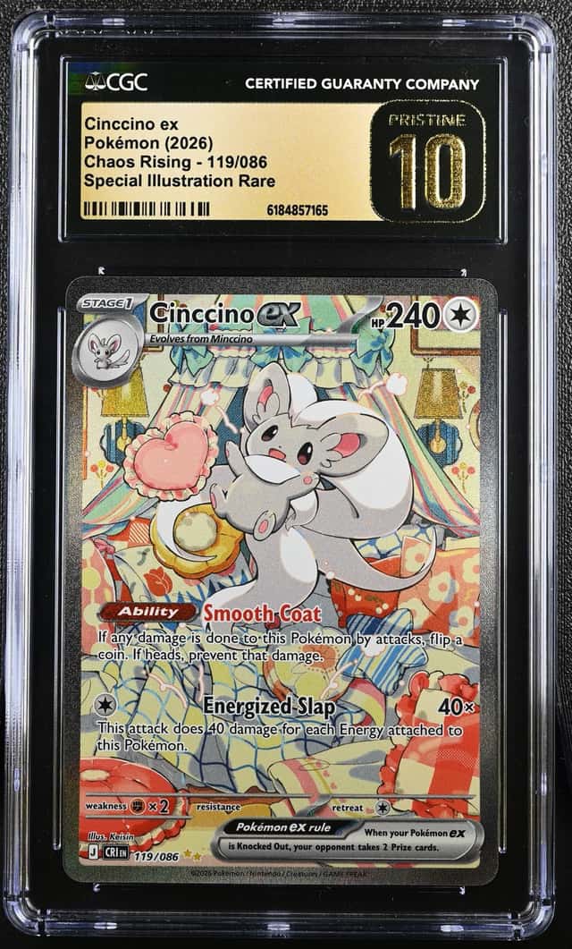 CINCCINO ex