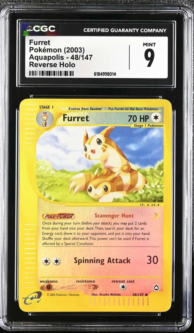 Furret