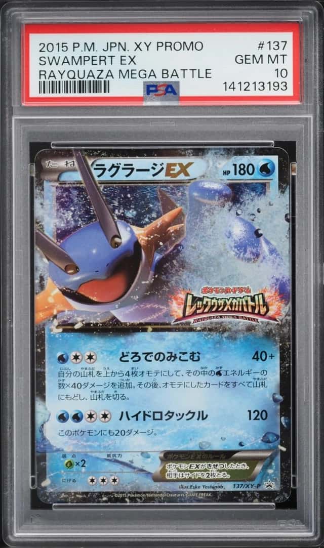 Swampert EX