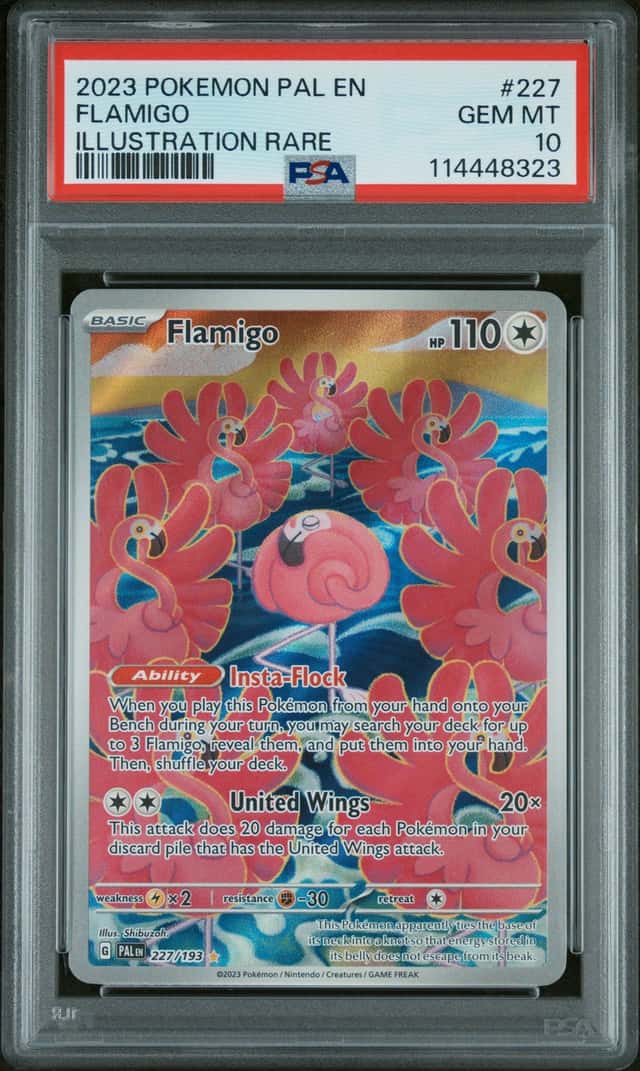 Flamigo