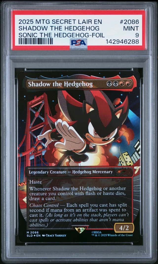 Shadow The Hedgehog