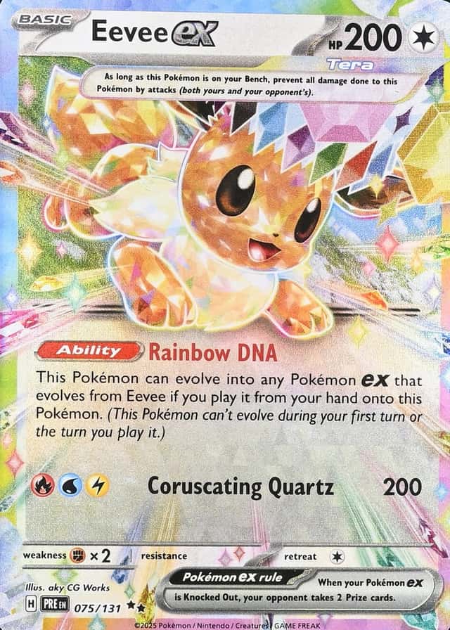 Holo