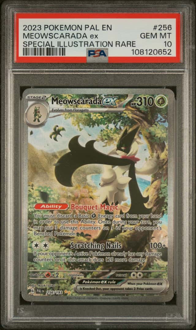 MEOWSCARADA ex