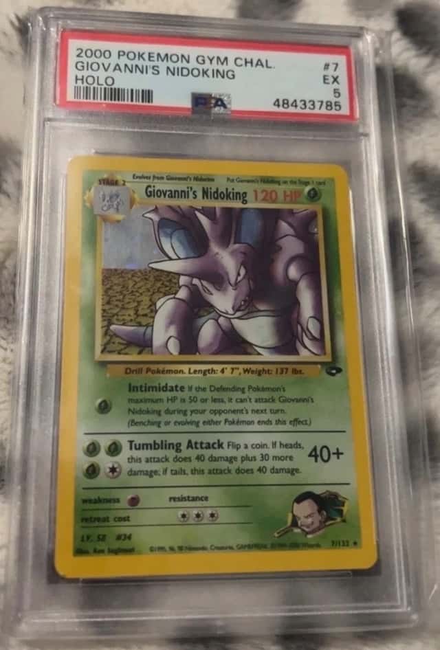 Giovanni's Nidoking