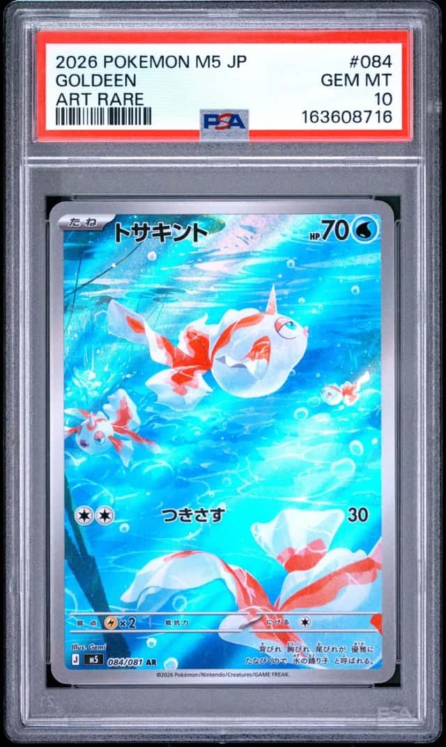 Goldeen