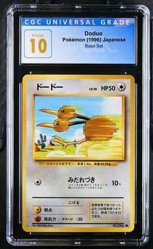 Doduo