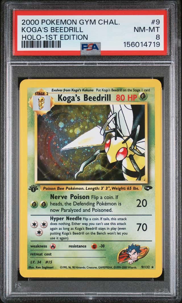 Koga's Beedrill