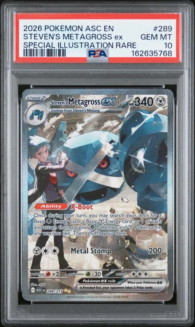 STEVEN'S METAGROSS ex