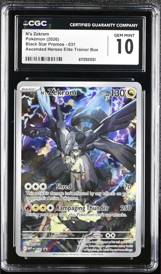 N's Zekrom