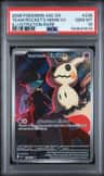 Team Rocket'S Mimikyu