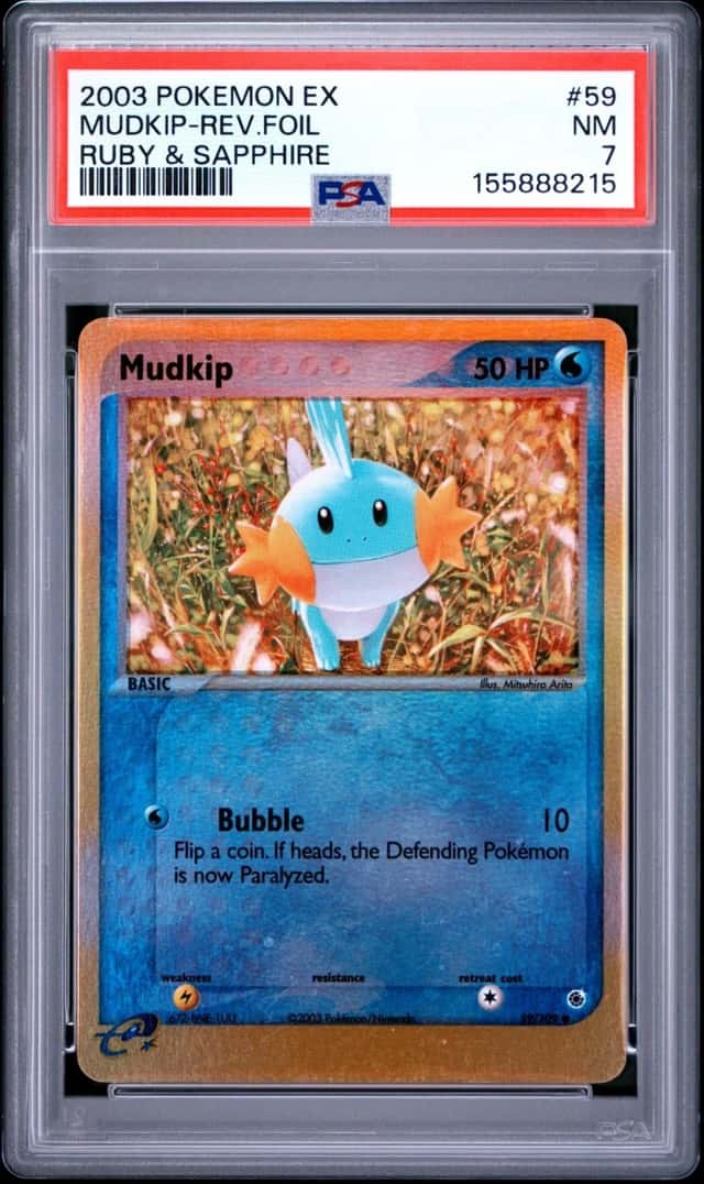 Mudkip