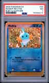 Mudkip