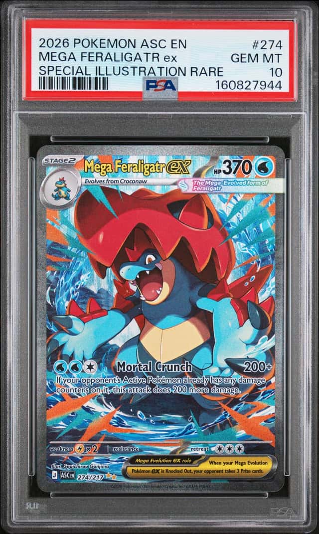 MEGA FERALIGATR ex