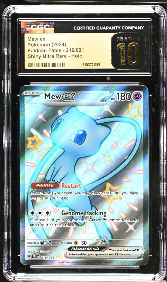 MEW ex