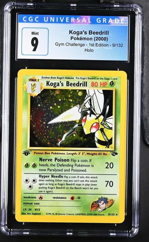 Koga's Beedrill
