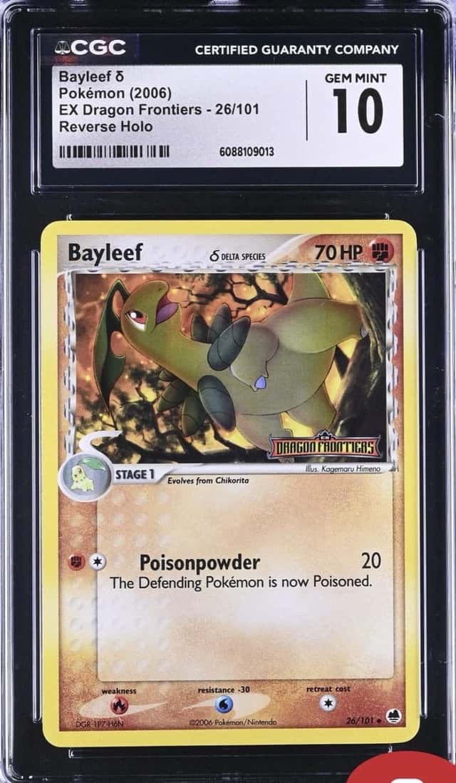 Bayleaf Δ
