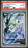 Celebi V