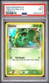 Treecko