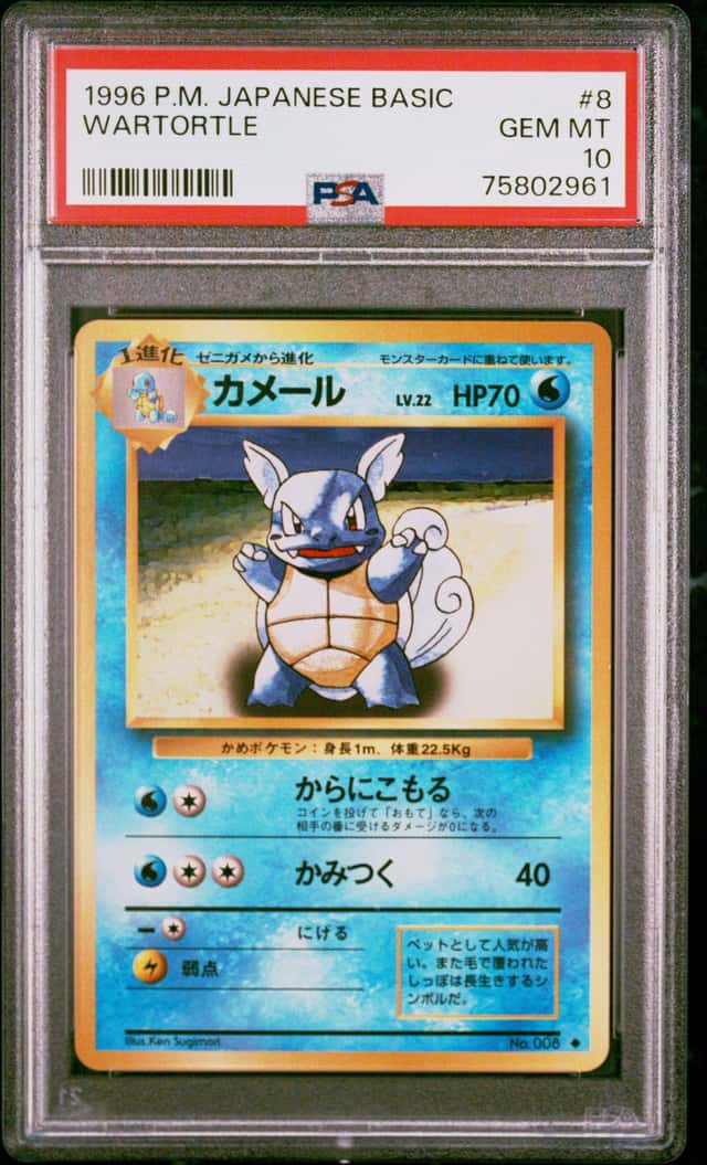 Wartortle