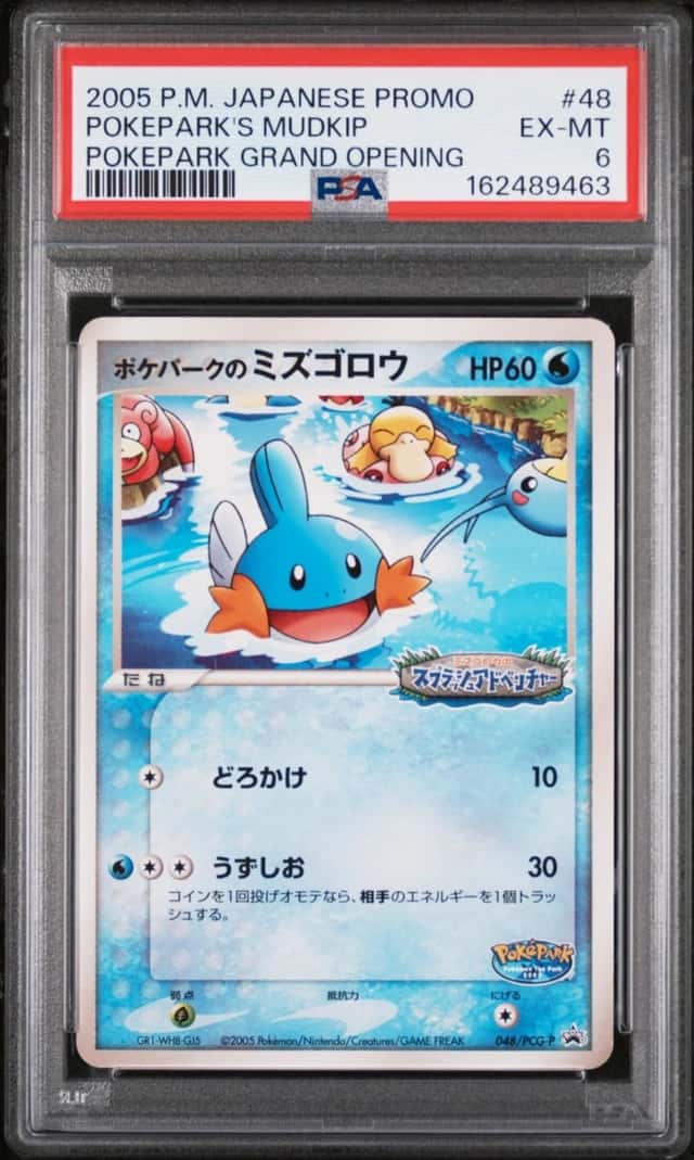 Pokepark's Mudkip