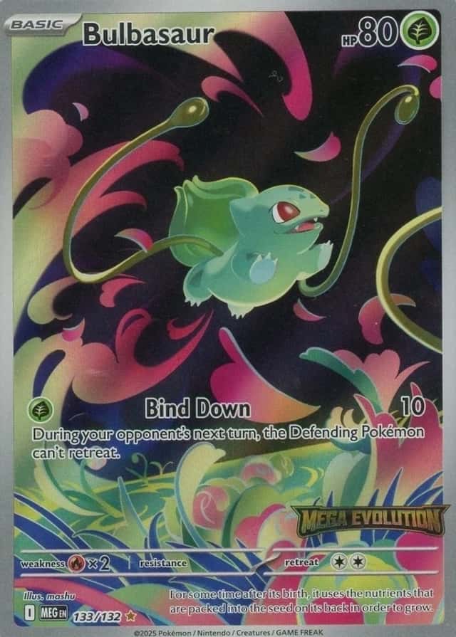 Box Topper