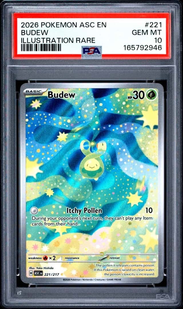 Budew