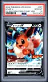 Eevee V