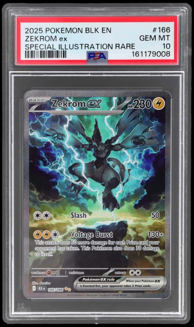 ZEKROM ex