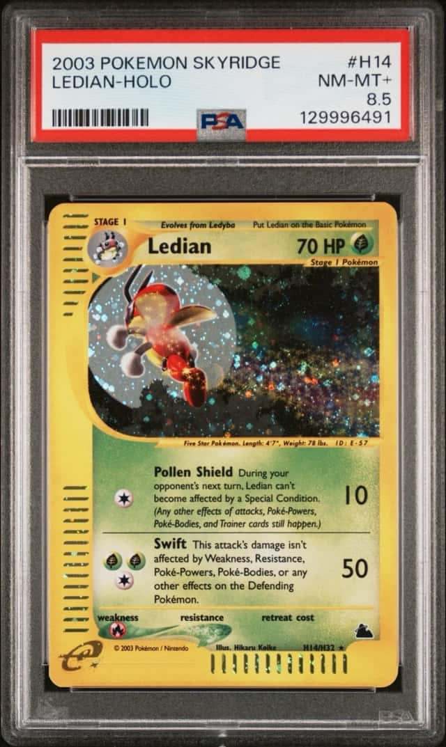 Ledian