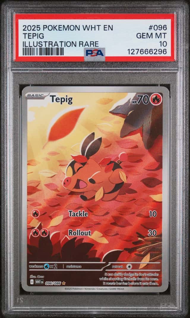 Tepig