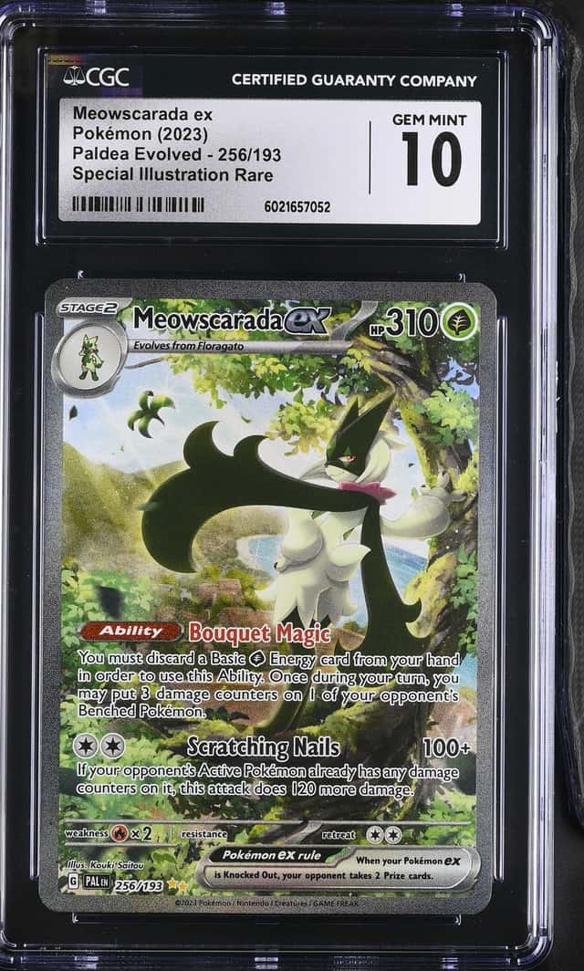 MEOWSCARADA ex