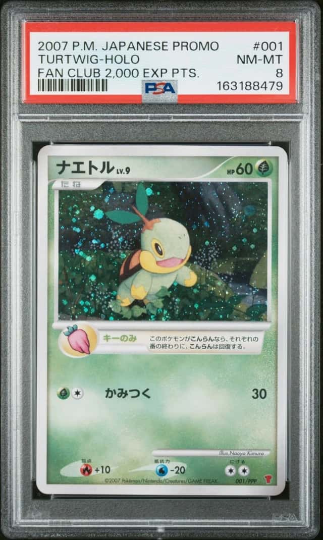 Turtwig
