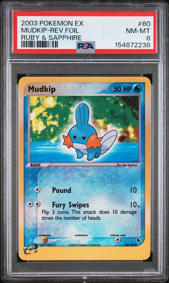 Mudkip