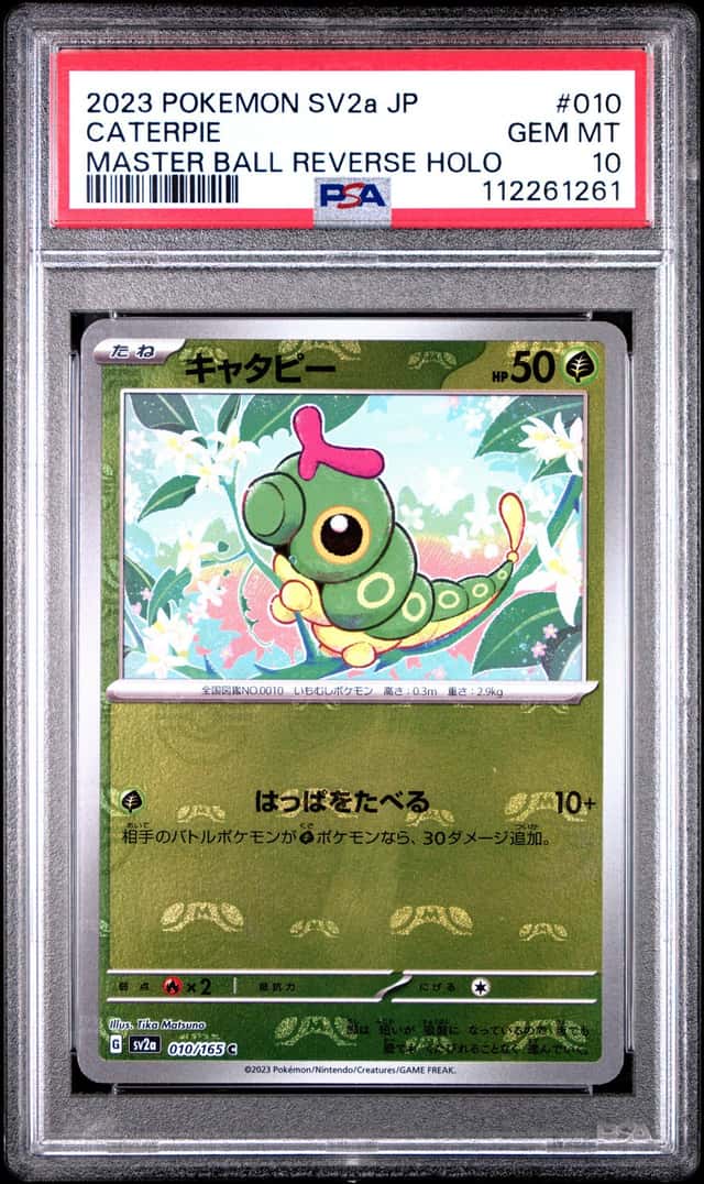 Caterpie