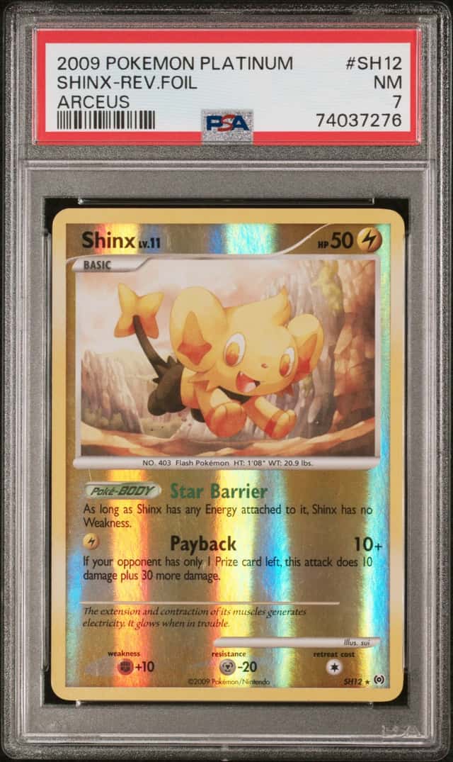 Shinx
