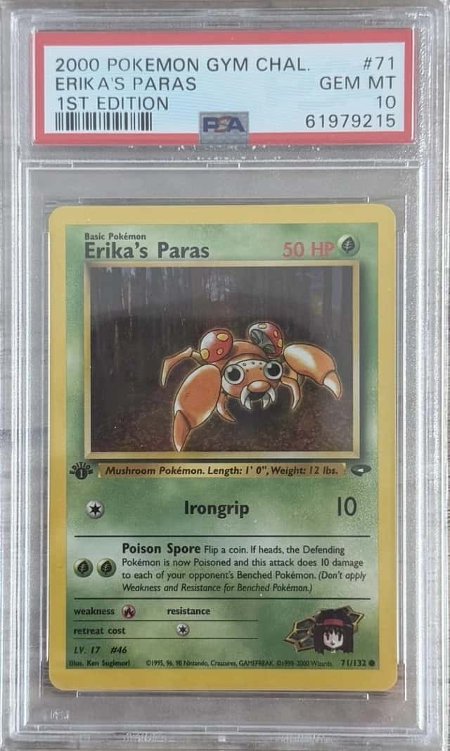 Erika's Paras