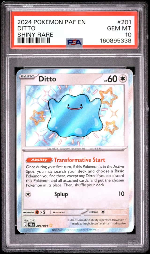 Ditto