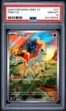 Ponyta