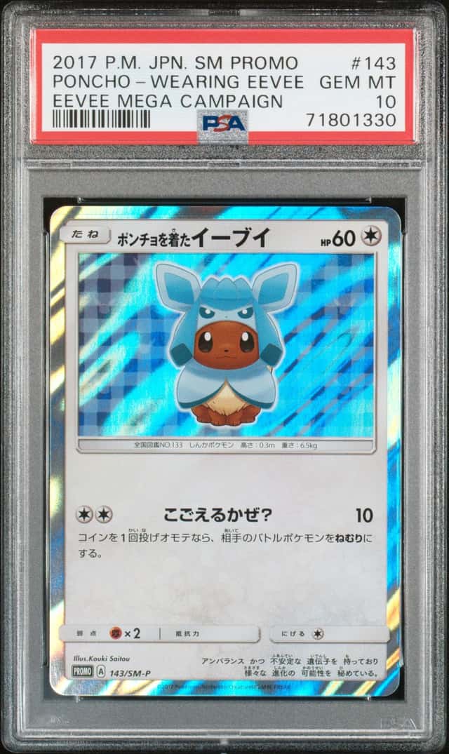 Poncho-Wearing Eevee