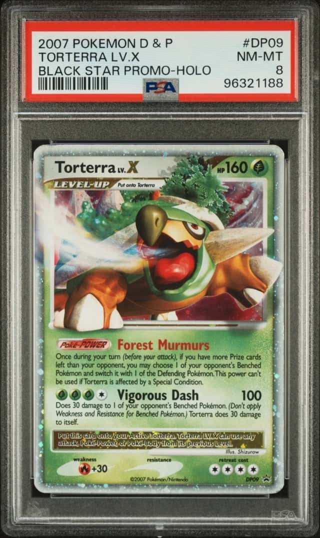 TORTERRA LV.X