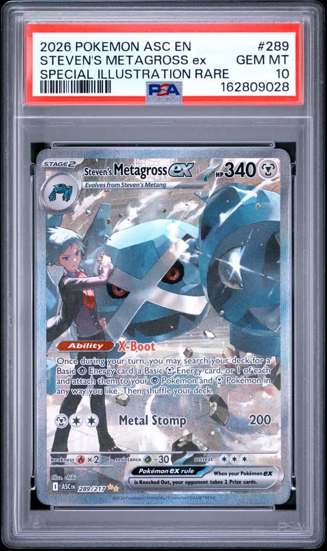 STEVEN'S METAGROSS ex