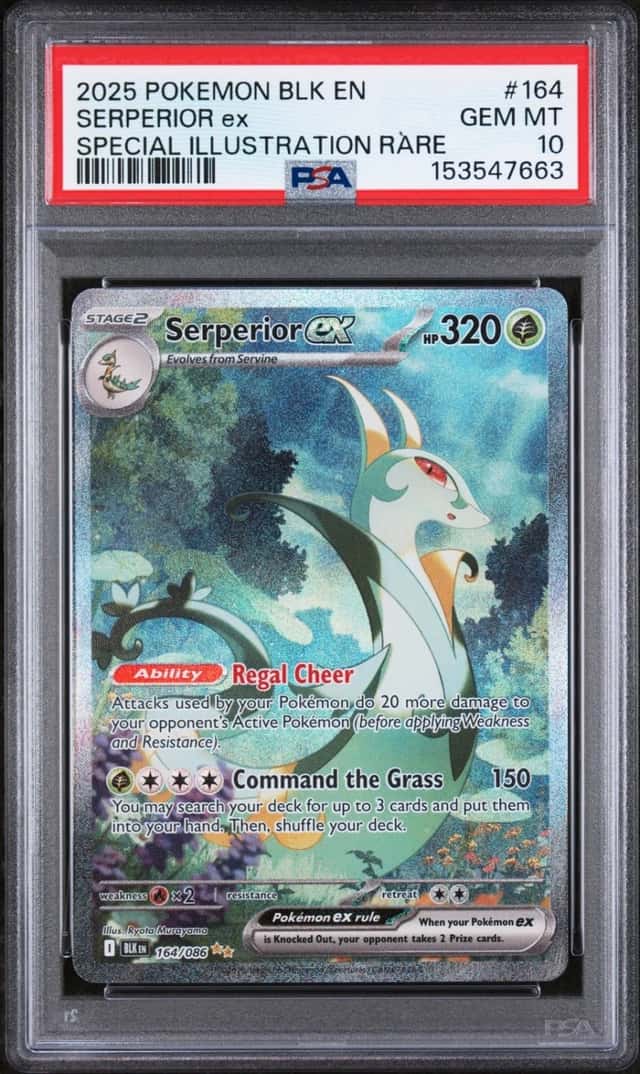 SERPERIOR ex