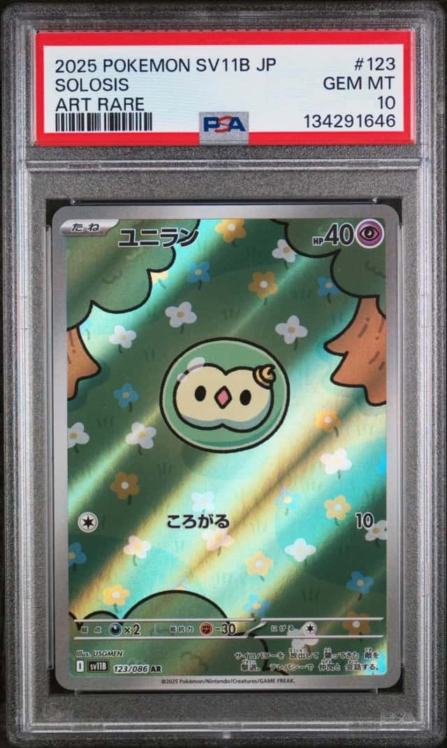 Solosis