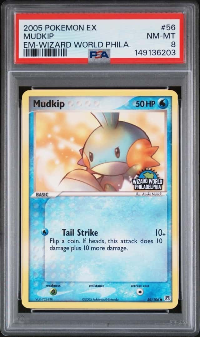 Mudkip