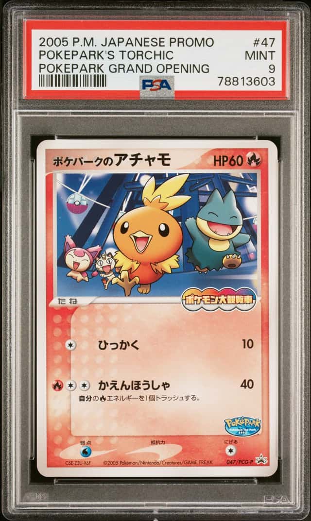 Pokepark's Torchic
