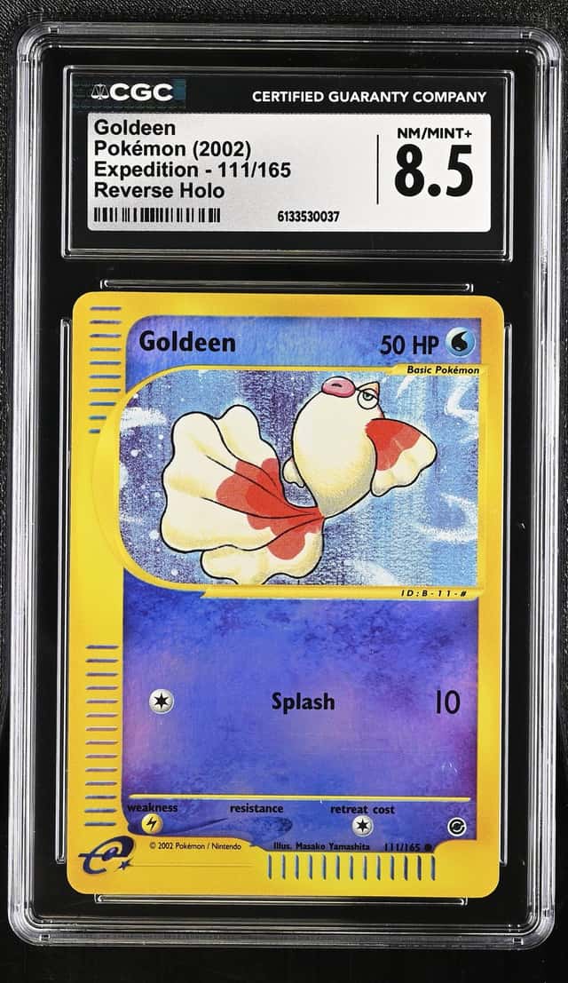 Goldeen