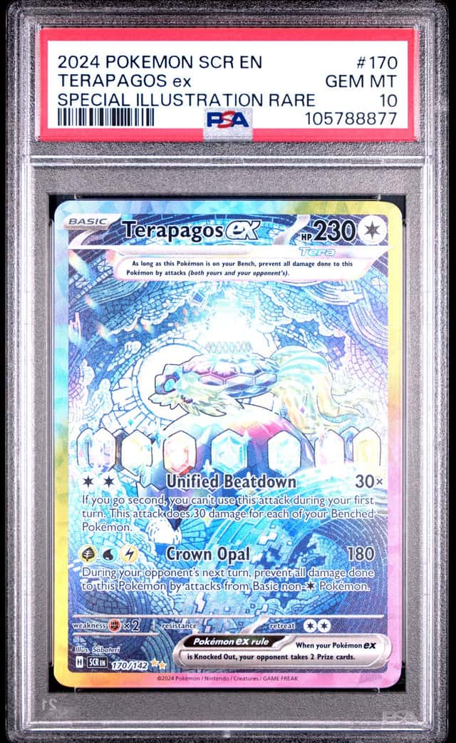 TERAPAGOS ex