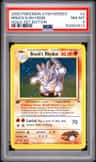 Brock'S Rhydon