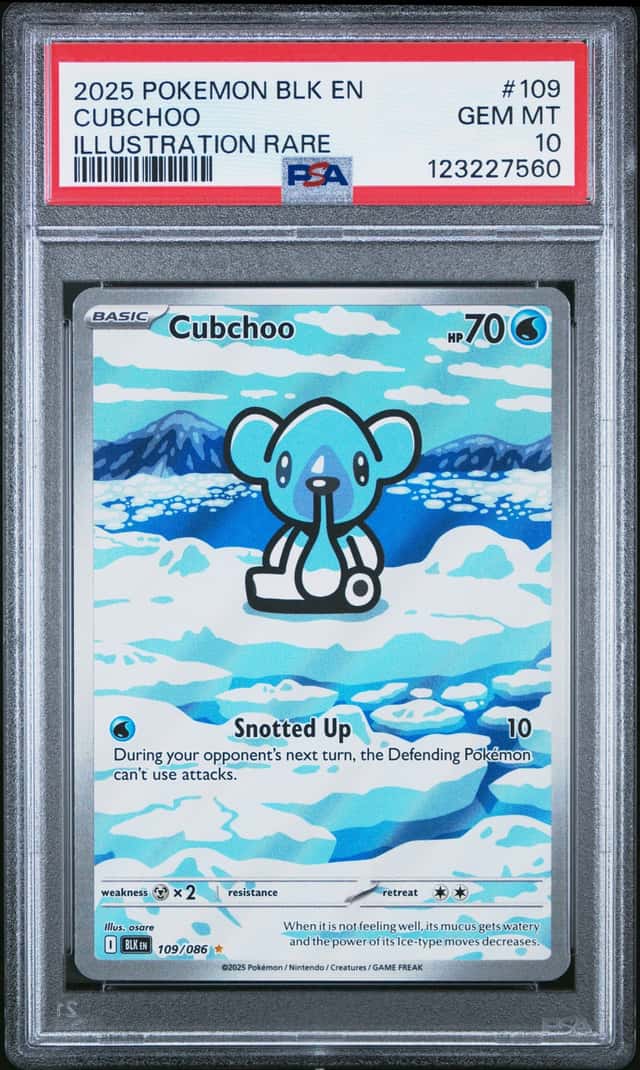 Cubchoo