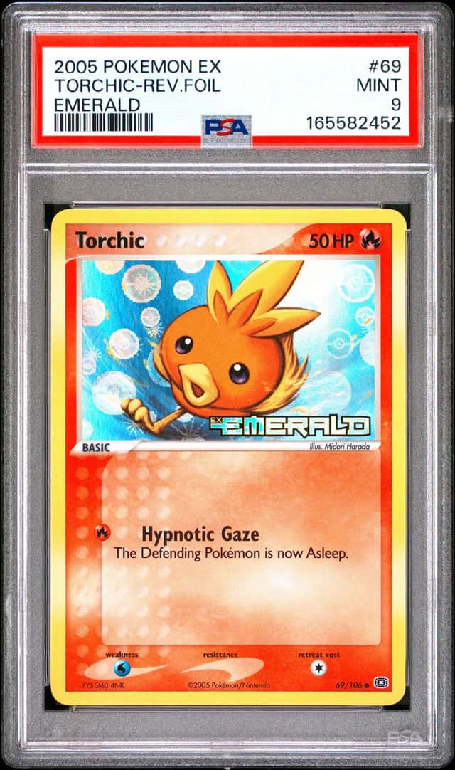 Torchic